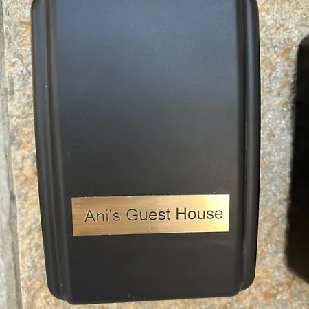 Ani's